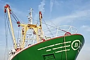 hollanda profili 2 gemi sacı